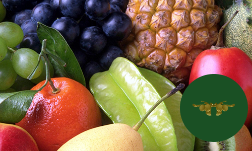Fruitmongery-online-Fruit-Shop